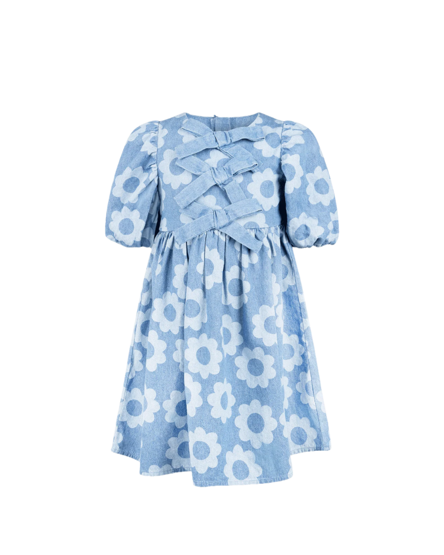 DAISY CHAMBRAY DRESS