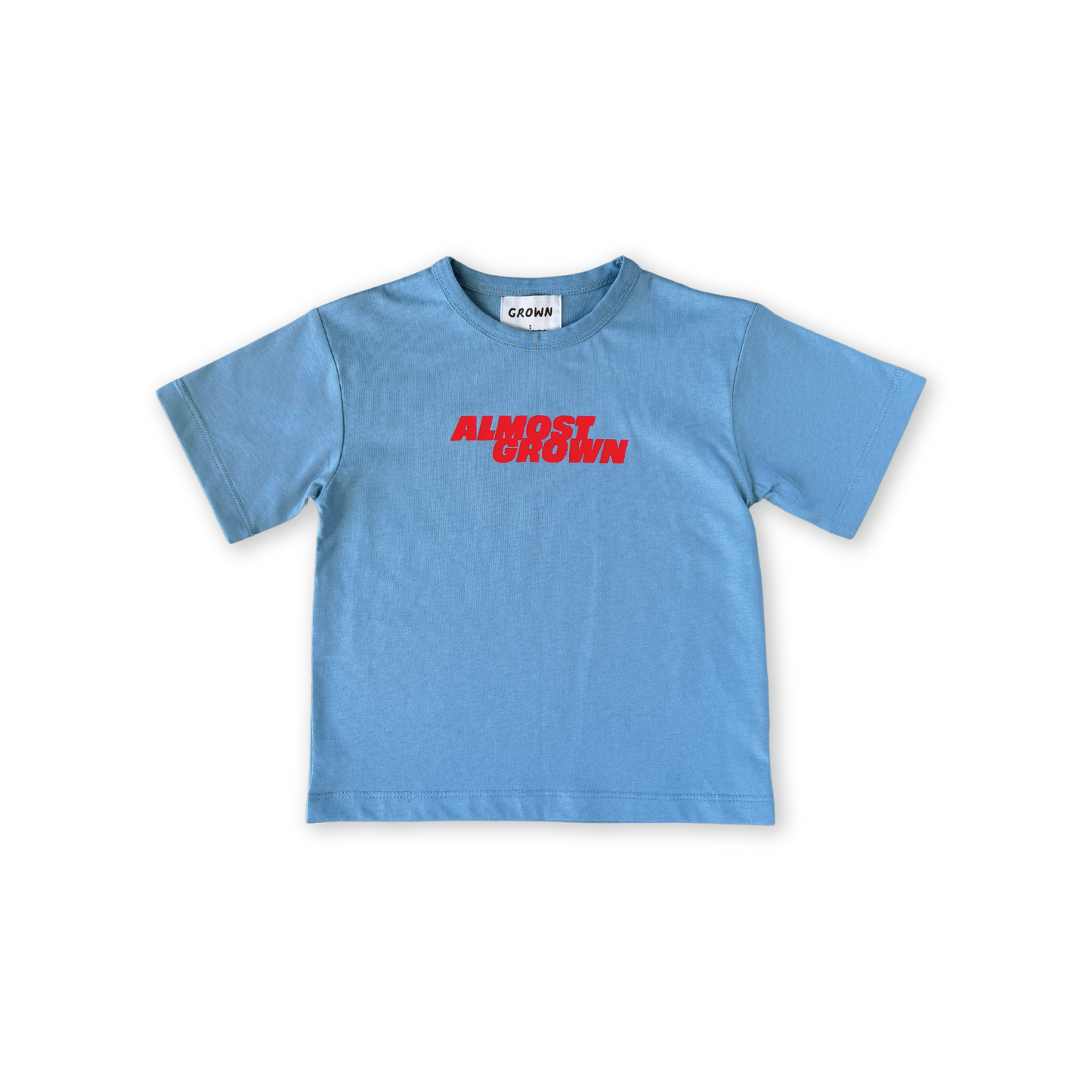 ORGANIC ALMOST GROWN TEE - DUCK EGG