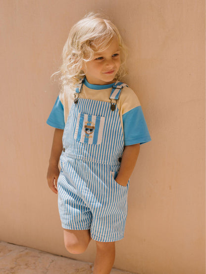 AQUA BEACH STRIPE CONTRAST SHORTALL
