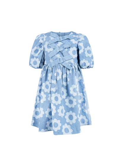 DAISY CHAMBRAY DRESS