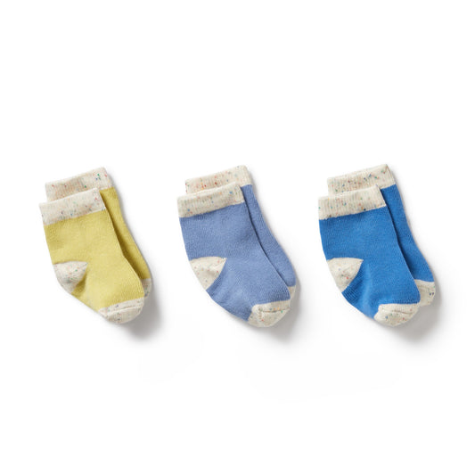 BABY SOCKS 3 PACK - ENDIVE | BLUEBELL | BLUE